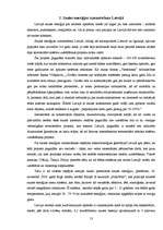 Referāts 'Saules enerģijas izmantošana Latvijā', 13.