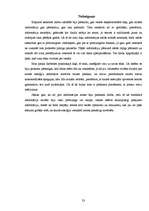 Referāts 'Saules enerģijas izmantošana Latvijā', 23.