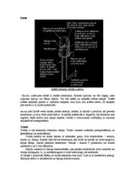 Konspekts 'Elektromagnētiskās svārstības', 3.