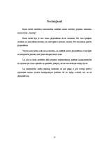 Referāts 'Saimniecības iekšējās zemes ierīcības projekts', 17.