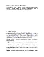 Konspekts 'Medicīnas parazitoloģija', 3.