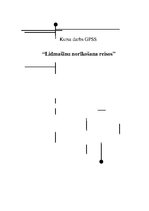 Referāts 'Aviokompānijas darba plānošana', 1.