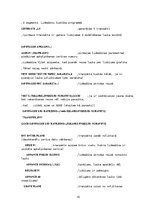 Referāts 'Aviokompānijas darba plānošana', 15.