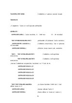 Referāts 'Aviokompānijas darba plānošana', 16.