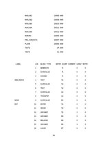 Referāts 'Aviokompānijas darba plānošana', 19.