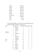 Referāts 'Aviokompānijas darba plānošana', 24.