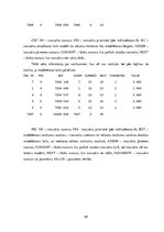 Referāts 'Aviokompānijas darba plānošana', 28.