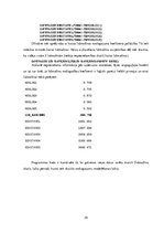 Referāts 'Aviokompānijas darba plānošana', 30.