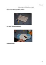 Referāts 'Asinsgrupa - cilvēka dzīvesveida noteicēja', 25.