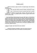 Konspekts 'Situācijas apraksts zoo preču uzņēmumā', 1.