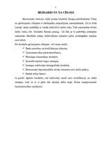 Referāts 'Bezdarbs Latvijā', 5.