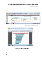 Referāts 'Sievietes statuss Japānas sabiedrībā', 14.