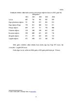 Referāts 'Mājsaimniecības budžets', 11.