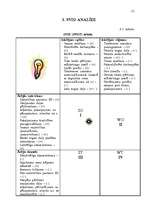 Referāts 'Uzņēmuma "N" mārketinga analīze', 15.