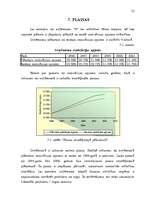 Referāts 'Uzņēmuma "N" mārketinga analīze', 32.