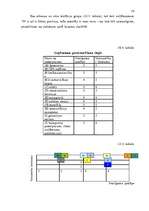 Referāts 'Uzņēmuma "N" mārketinga analīze', 54.