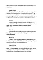 Referāts 'Kristietības pamatvirzieni, sakramenti un svētki', 6.