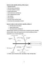 Referāts 'Bauskas novads. Latvijas reģionālo problēmu izvērtējums Eiropas kontekstā', 2.