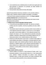 Referāts 'Bauskas novads. Latvijas reģionālo problēmu izvērtējums Eiropas kontekstā', 4.