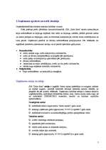 Biznesa plāns 'Biznesa plāns "Zelta flora"', 7.