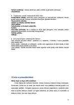 Biznesa plāns 'Biznesa plāns "Zelta flora"', 14.