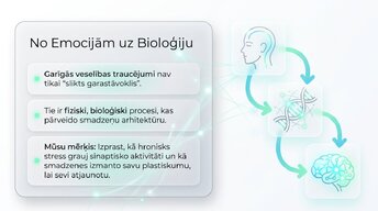 Prezentācija 'Depresija, trauksme un smadzeņu neiroplastiskums', 2.
