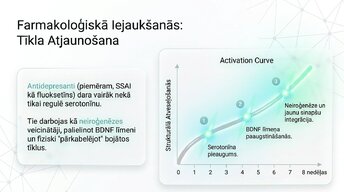 Prezentācija 'Depresija, trauksme un smadzeņu neiroplastiskums', 10.