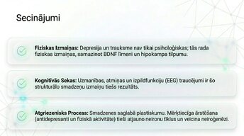 Prezentācija 'Depresija, trauksme un smadzeņu neiroplastiskums', 13.