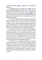 Referāts 'Inovācijas ekonomika', 3.