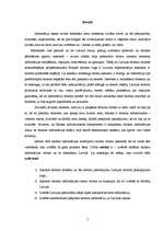 Referāts 'Tūrisma informācijas pieejamība un patiesums', 5.