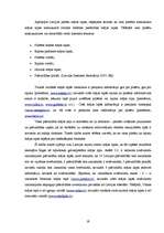 Referāts 'Tūrisma informācijas pieejamība un patiesums', 19.