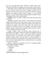 Referāts 'Cilvēkiem ar dažādu ienākumu līmeni priekšstats par komfortu dzīvoklī', 4.