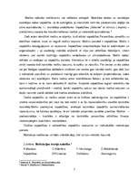 Referāts 'Cilvēkiem ar dažādu ienākumu līmeni priekšstats par komfortu dzīvoklī', 7.