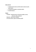 Referāts 'Skolēnu drošība internetā', 3.
