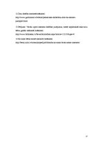 Referāts 'Skolēnu drošība internetā', 17.