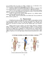 Referāts 'Smagatlētikas sporta veidu pārstāvju veselības pamati', 13.