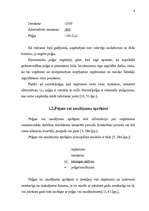 Referāts 'Peļņa un tās rādītāji', 6.