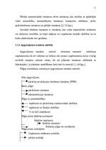 Referāts 'Peļņa un tās rādītāji', 11.