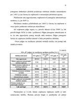 Referāts 'Peļņa un tās rādītāji', 19.