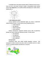 Konspekts 'Statistiskie grafiku veidi', 2.