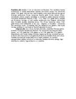 Referāts 'Baroka arhitektūra Eiropā', 8.