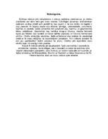 Referāts 'Baroka arhitektūra Eiropā', 9.