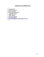 Konspekts 'Datu bāzu sistēmas paplašinājumu veidošana', 29.