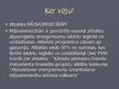 Prezentācija 'Elektroenerģija Latvijā', 29.