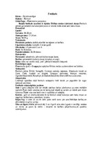 Konspekts 'Zaļvārnveidīgie', 4.