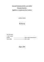 Konspekts 'Šūšana mājturības stundās', 1.