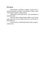 Konspekts 'Šūšana mājturības stundās', 11.