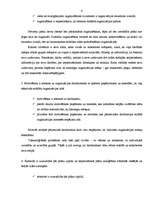 Eseja 'Tirgvedības stratēģijas problēmas analīze ', 6.