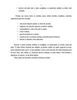 Eseja 'Tirgvedības stratēģijas problēmas analīze ', 7.