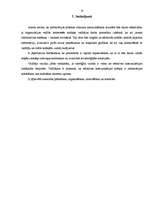 Eseja 'Tirgvedības stratēģijas problēmas analīze ', 10.